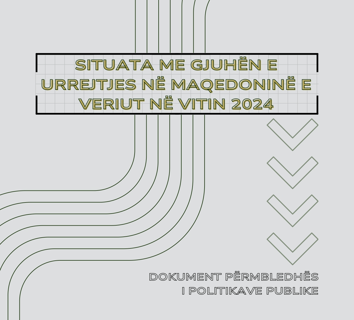 Dokument përmbledhës i politikave publike Situata Me Gjuhën e Urrejtjes në Maqedoninë e Veriut në vitin 2024